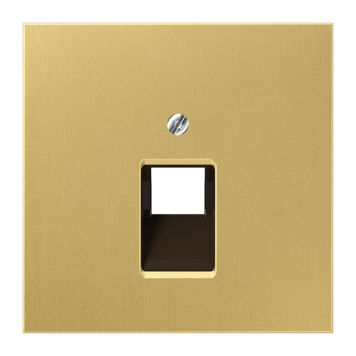 Накладка на розетку информационную JUNG LS METAL, латунь