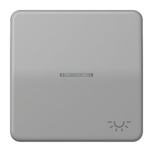 Клавиша JUNG CD 500, серый